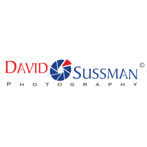 David Sussman